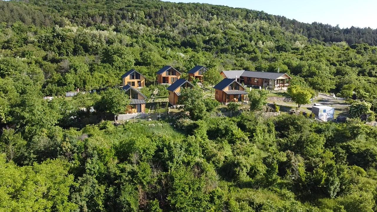 Vedere aeriană din pădure